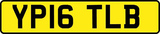 YP16TLB