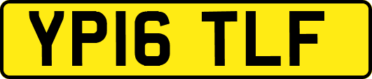 YP16TLF