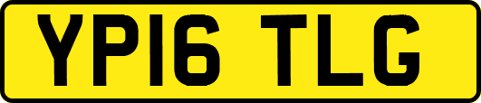 YP16TLG