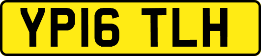 YP16TLH