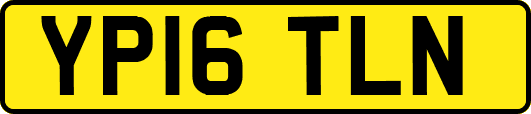 YP16TLN