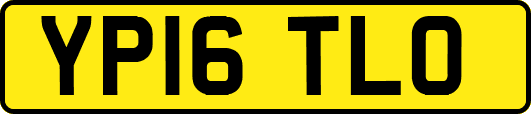 YP16TLO