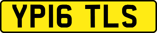 YP16TLS