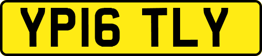 YP16TLY