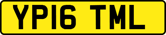 YP16TML