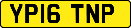 YP16TNP