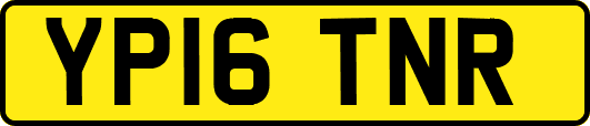 YP16TNR
