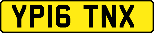 YP16TNX