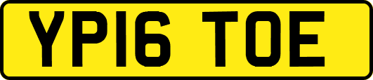 YP16TOE