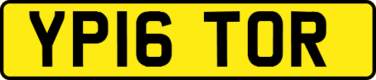 YP16TOR
