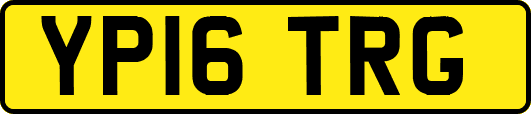 YP16TRG