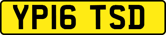 YP16TSD