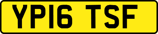 YP16TSF