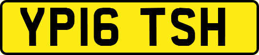 YP16TSH