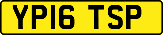YP16TSP