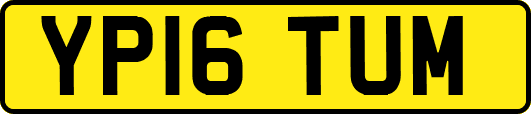 YP16TUM