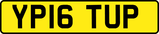 YP16TUP