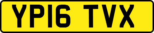 YP16TVX