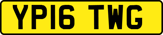YP16TWG