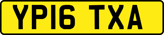 YP16TXA