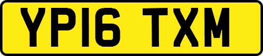 YP16TXM