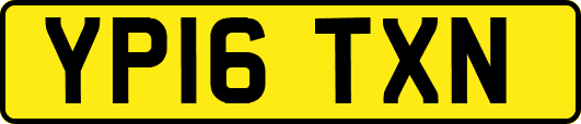 YP16TXN