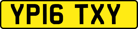 YP16TXY