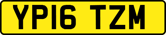 YP16TZM