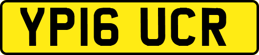 YP16UCR