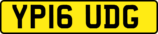 YP16UDG