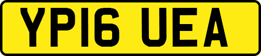 YP16UEA