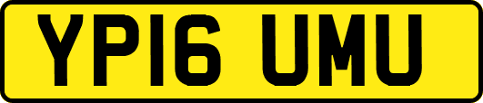 YP16UMU