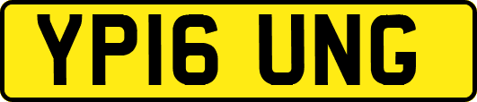 YP16UNG