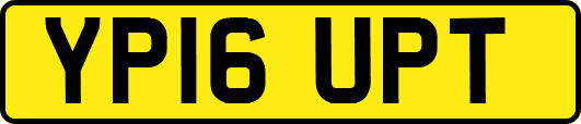 YP16UPT
