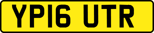 YP16UTR