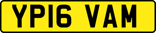 YP16VAM