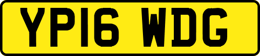 YP16WDG