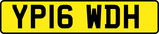 YP16WDH