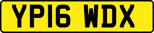 YP16WDX