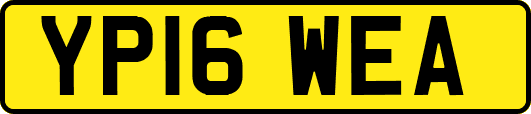 YP16WEA