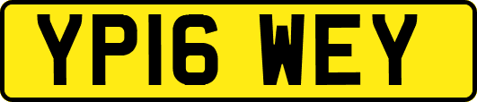 YP16WEY