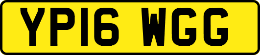 YP16WGG