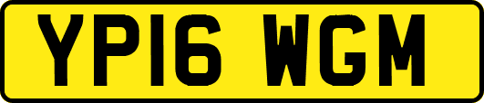 YP16WGM