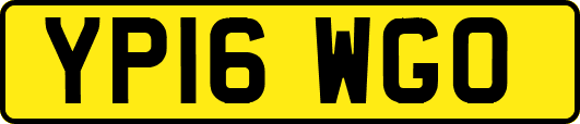 YP16WGO