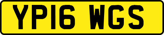 YP16WGS