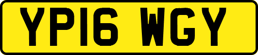 YP16WGY