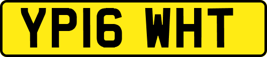 YP16WHT