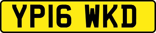 YP16WKD