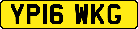 YP16WKG