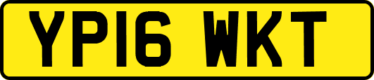 YP16WKT